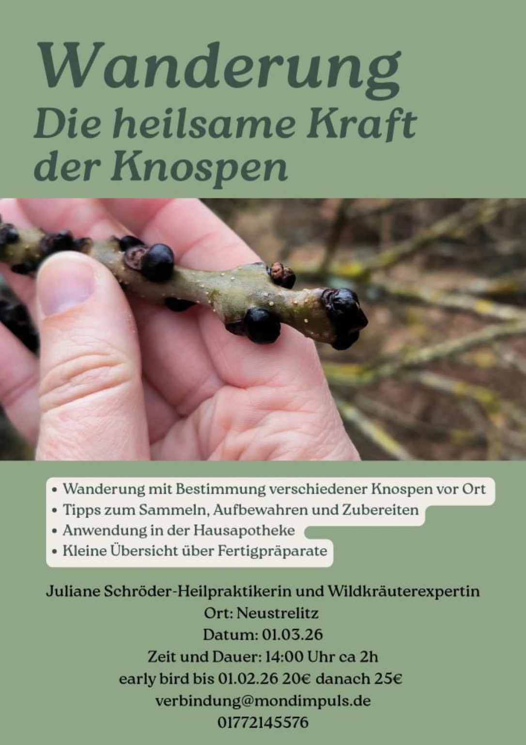 Wanderung Neustrelitz Naturheilkunde